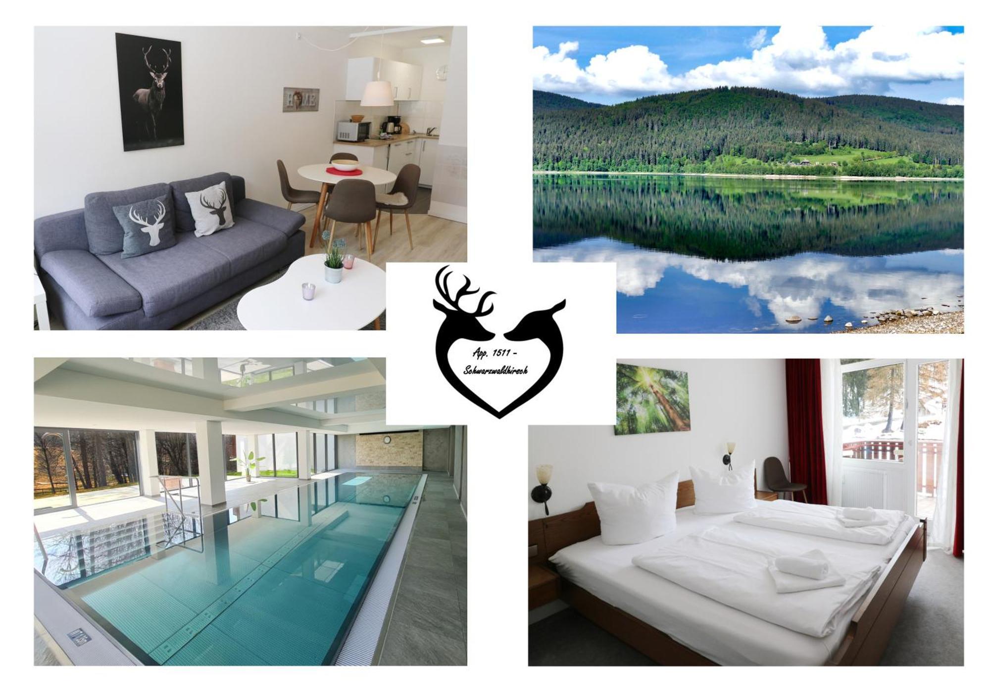 Kurhotel Schluchsee App 1511 - Schwarzwaldhirsch - Mit Innenpool Und Sauna, Schluchsee Luaran gambar