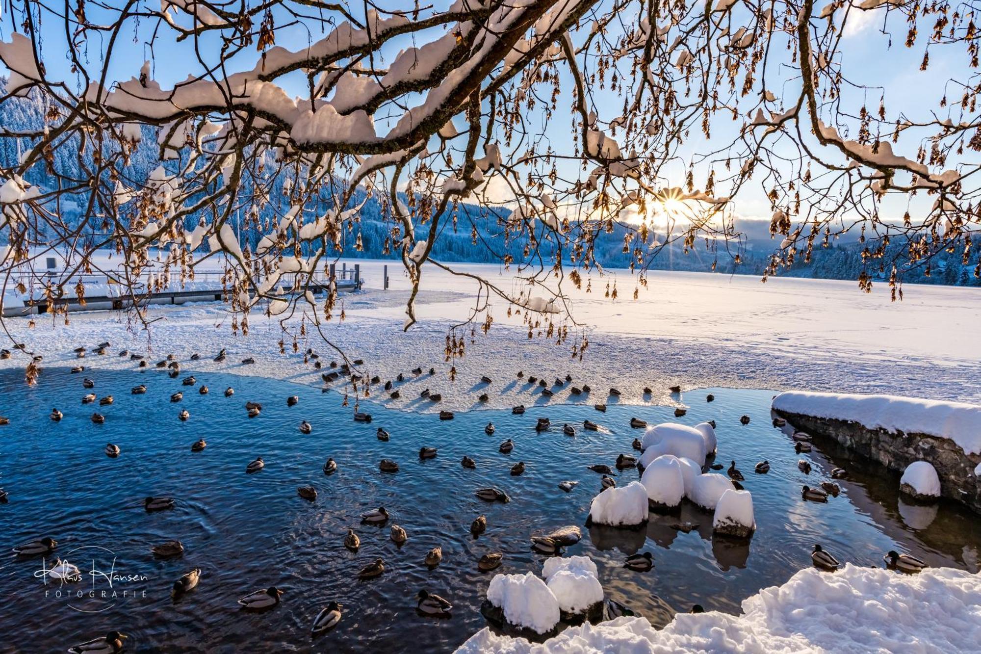 Kurhotel Schluchsee App 1511 - Schwarzwaldhirsch - Mit Innenpool Und Sauna, Schluchsee Luaran gambar